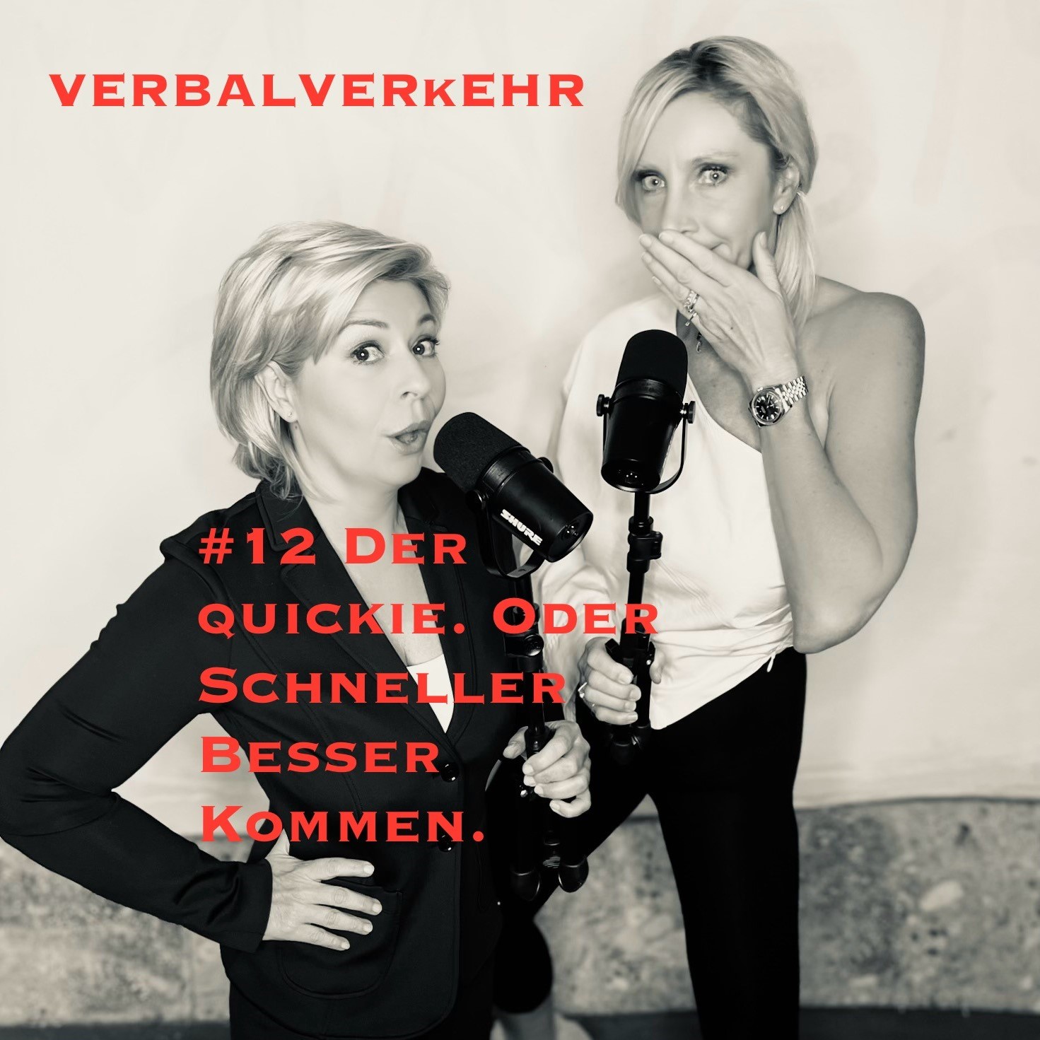 #12VERBALVERKEHR - Der QUICKIE oder warum man manchmal schneller besser kommt episode artwork