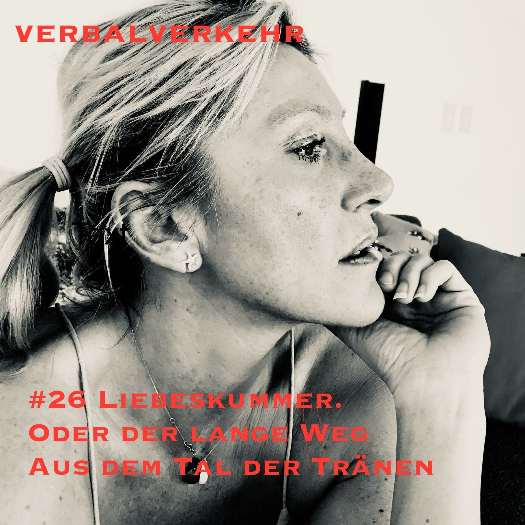 #26VERBALVERKEHR - Liebeskummer! Und der lange Weg durchs Tal der Tränen episode artwork