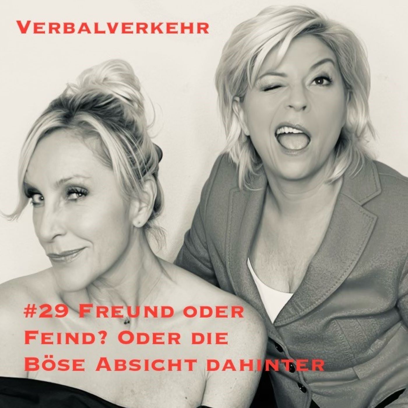 #29VERBALVERKEHR - Freund oder Feind? Und die böse Absicht dahinter episode artwork