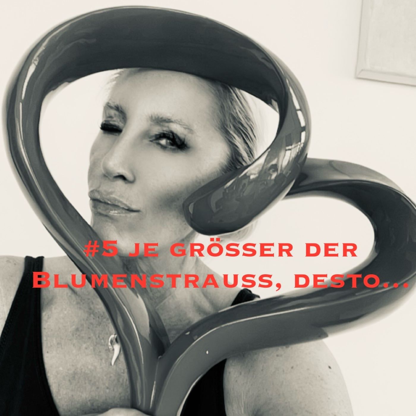 #5VERBALVERKEHR - Je größer der Blumenstrauß, desto ... episode artwork
