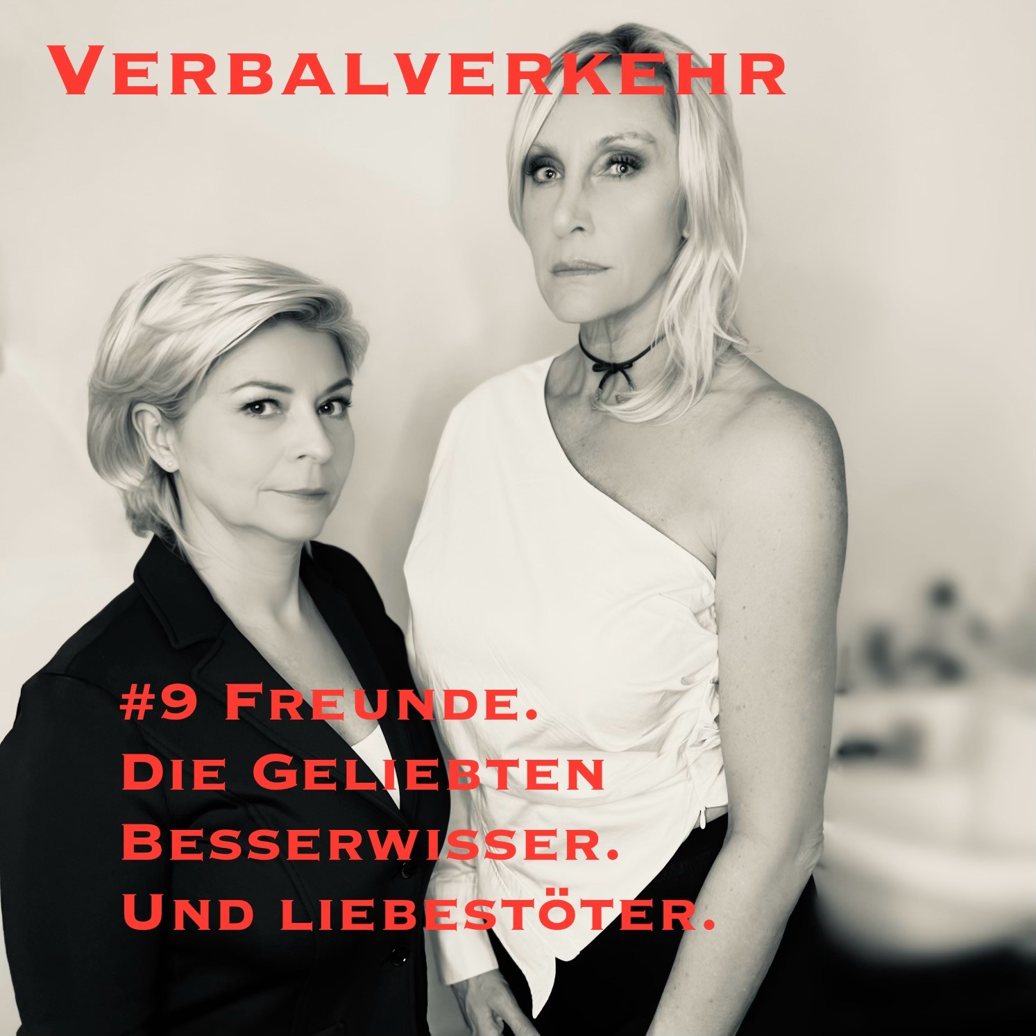 #9VERBALVERKEHR - Freunde. Die geliebten Besserwisser. Und Liebestöter. episode artwork